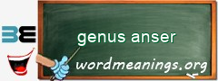 WordMeaning blackboard for genus anser